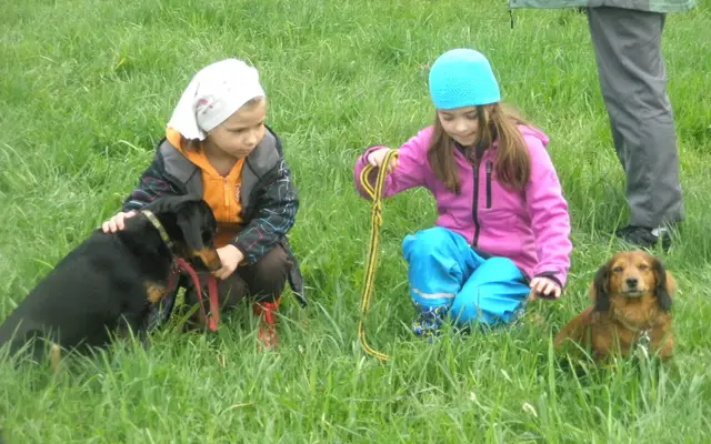 Děti se štěňaty v trávě při klubové akci (archivní snímek)