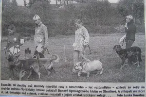 Novinový článek o Strmilovském voříškovi 2004