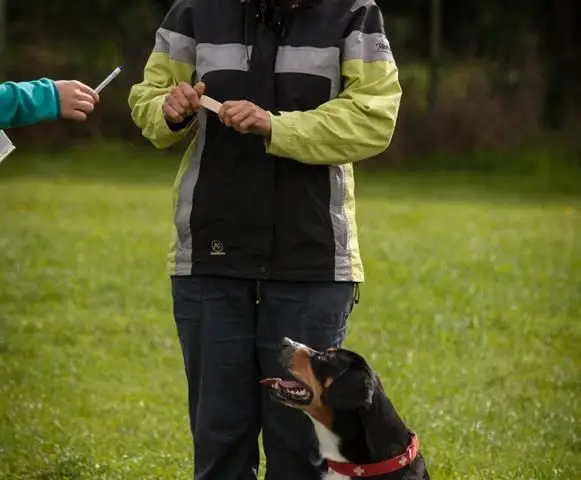 Psovodka se psem u nohy, Obedience 2014
