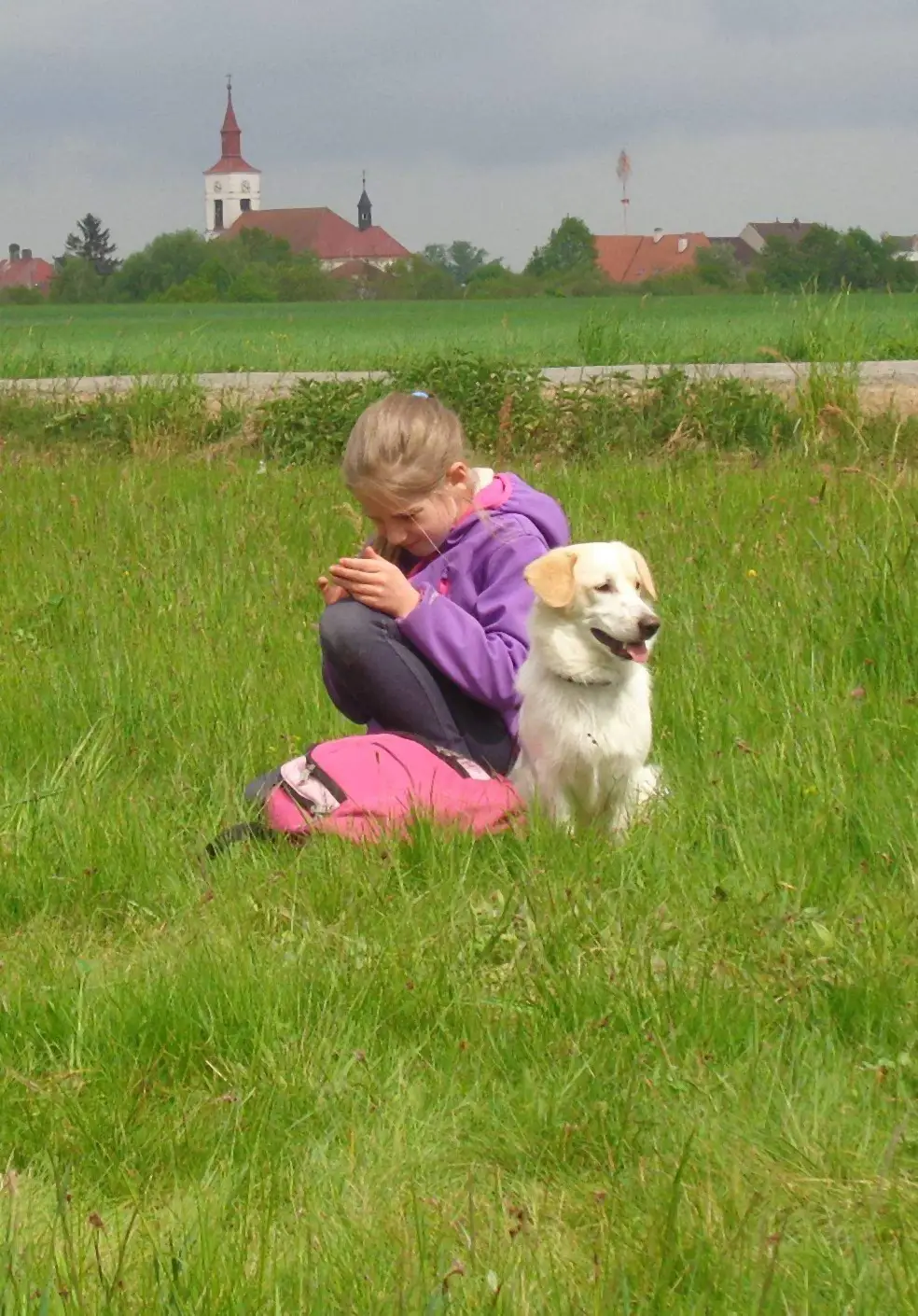 Dívka se zlatým retrívrem na louce při jarním pochodu se psy