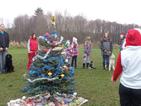 Členové klubu se psy u vánočního stromku na cvičišti